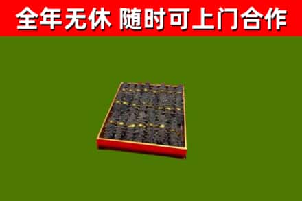裕民县回收海参